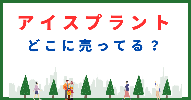 アイスプラント どこに売ってる